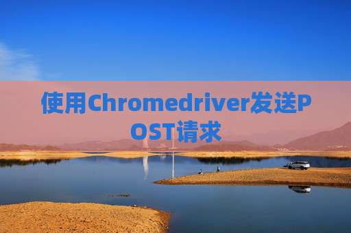 使用Chromedriver发送POST请求
