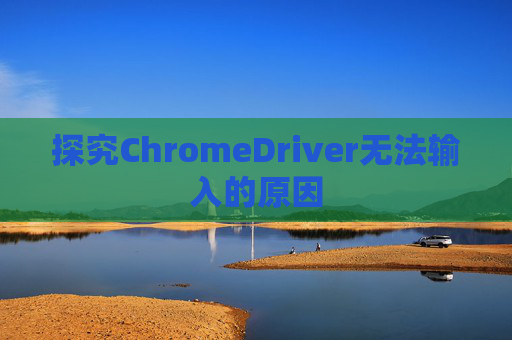 探究ChromeDriver无法输入的原因